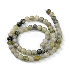 Natural Qinghua Jade Beads Strands&nbsp;G-G818-01-6mm