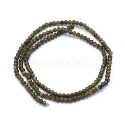 Natural Golden Sheen Obsidian Beads Strand&nbsp;G-E411-34-2mm