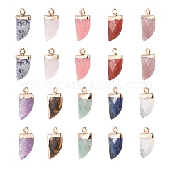 10Pcs 10 Style Natural Gemstone Pendants&nbsp;G-LS0002-14