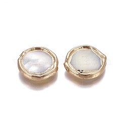 Shell Beads&nbsp;BSHE-F006-10G