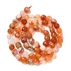 Natural Agate(Dyed & Heated) Beads Strands&nbsp;G-H066-B01-01