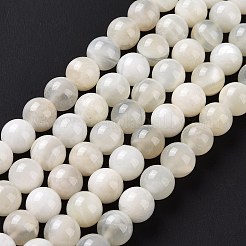 Natural White Moonstone Beads Strands&nbsp;G-F674-08-8mm-01