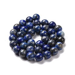 Natural Lapis Lazuli Beads Strands&nbsp;G-E483-17-10mm
