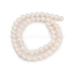 Natural Cultured Freshwater Pearl Beads Strands&nbsp;PEAR-I007-07X-04A