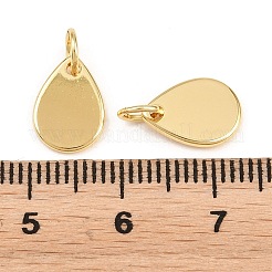 Brass Charms&nbsp;KK-H292-20G