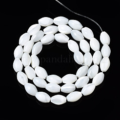 Natural Trochid Shell/Trochus Shell Beads Strands&nbsp;SSHEL-S266-021A-02