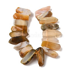 Natural Botswana Agate Beads Strands&nbsp;G-S386-D02