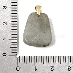 Natural Labradorite Pendants&nbsp;G-C282-03F