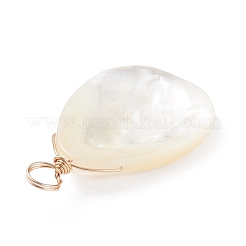 Natural Trochid Shell/Trochus Shell Pendants&nbsp;PALLOY-JF01393