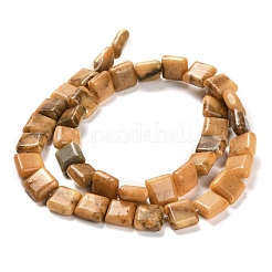 Natural Dolomite Beads Strands&nbsp;G-F765-C02-01