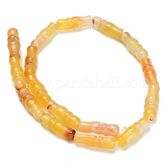 Natural Agate Beads Strands&nbsp;G-Z144-A02-01B