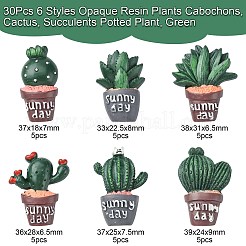 30Pcs 6 Styles Opaque Resin Plants Cabochons&nbsp;CRES-CJ0001-55