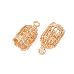 Brass Pendants&nbsp;KK-G532-21G