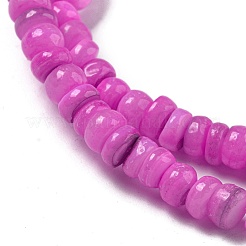 Dyed Natural Freshwater Shell Beads Strands&nbsp;X1-BSHE-G039-07L