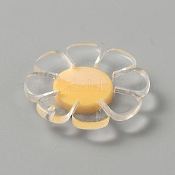 Transparent Resin Pendants&nbsp;LS-RESI-WH0029-46B-09
