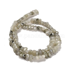 Natural Labradorite Beads Strands&nbsp;G-Q167-B19-01