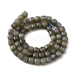 Natural Labradorite Beads Strands&nbsp;G-F797-A09-01