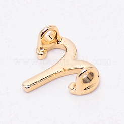 Alloy Charms&nbsp;PALLOY-WH0088-13LG