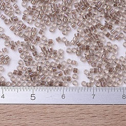 MIYUKI Delica Beads&nbsp;X-SEED-J020-DB0064