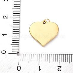 304 Stainless Steel Pendants&nbsp;STAS-M110-17G