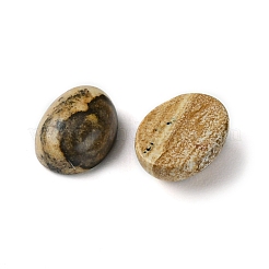 Natural Picture Jasper Cabochons&nbsp;G-A094-01B-48