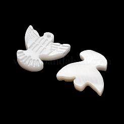 Natural Freshwater Shell Beads&nbsp;SH-CBA93AD-10