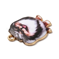 Alloy Pendants&nbsp;PALLOY-E028-01LG-02