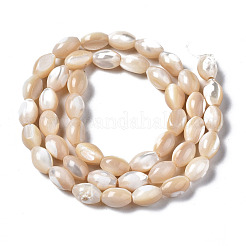 Natural Trochid Shell/Trochus Shell Beads Strands&nbsp;SSHEL-S266-021B-02