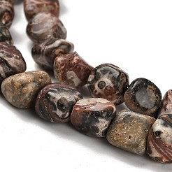 Natural Leopard Skin Jasper Beads Strands&nbsp;G-P497-01E-93