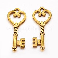 Tibetan Style Alloy Pendants&nbsp;GLF1312Y-NF