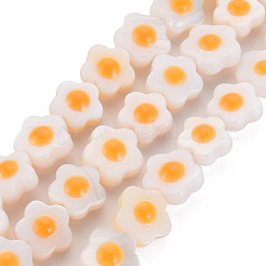 Natural Freshwater Shell Beads Strands with Enamel&nbsp;SHEL-T018-30