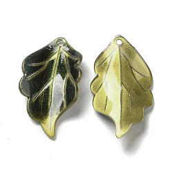 Acrylic Pendants&nbsp;SACR-C002-14