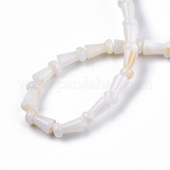 Natural Freshwater Shell Beads Strands&nbsp;SHEL-N026-213-A01