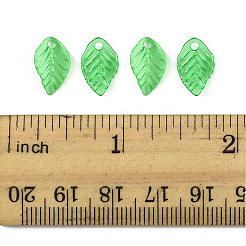 600Pcs Transparent Acrylic Charms&nbsp;TACR-FS0001-62