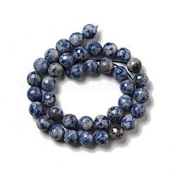 Natural Blue Spot Jasper Beads Strands&nbsp;G-P476-01D-02