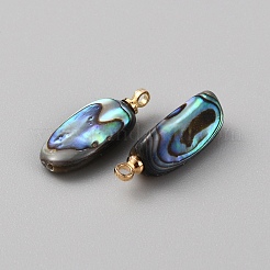 Natural Abalone Shell/Paua Shell Pendants&nbsp;SSHEL-WH0001-43