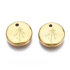316 Surgical Stainless Steel Charms&nbsp;LS-STAS-S116-418K-G