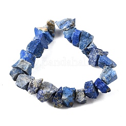 Natural Lapis Lazuli Beads Strands&nbsp;G-I283-F21