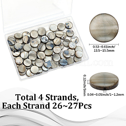 4 Strands Shell Beads Strands&nbsp;SHEL-SC0001-66