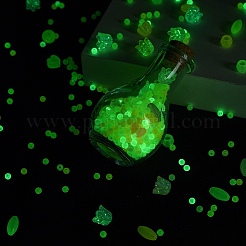 Luminous Acrylic Beads Wish Bottle DIY Making Kits&nbsp;DIY-FS0007-58