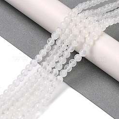 Natural Green Jade Beads Strands&nbsp;G-Q162-A01-D01-05