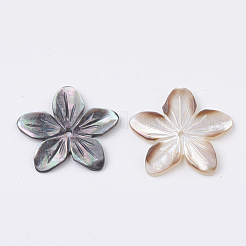 Natural Black Lip Shell Beads&nbsp;SHEL-S269-70