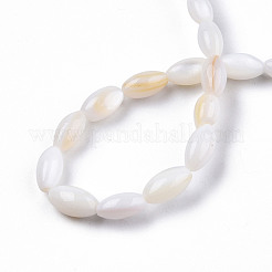 Natural Freshwater Shell Beads Strands&nbsp;SHEL-N026-212-A01