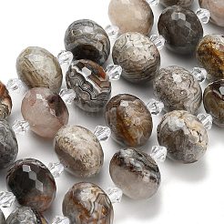 Natural Mexican Agate Beads Strands&nbsp;G-L642-I11-18x13mm