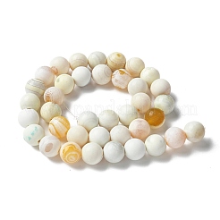 Natural Fire Crackle Agate Beads Strands&nbsp;G-G190-A02-01