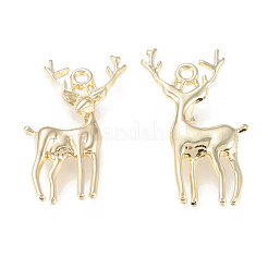 Alloy Pendants&nbsp;PALLOY-M183-02G-RS