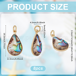 8Pcs Natural Paua Shell & Epoxy Resin Pendants&nbsp;KK-UN0005-02