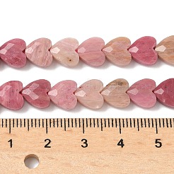 Natural Rhodonite Beads Strands&nbsp;G-D316-B06