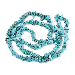 Synthetic Turquoise Beads Strands&nbsp;G-N352-03