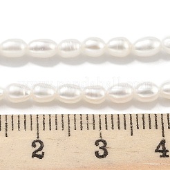 Natural Cultured Freshwater Pearl Beads Strands&nbsp;PEAR-P062-01F